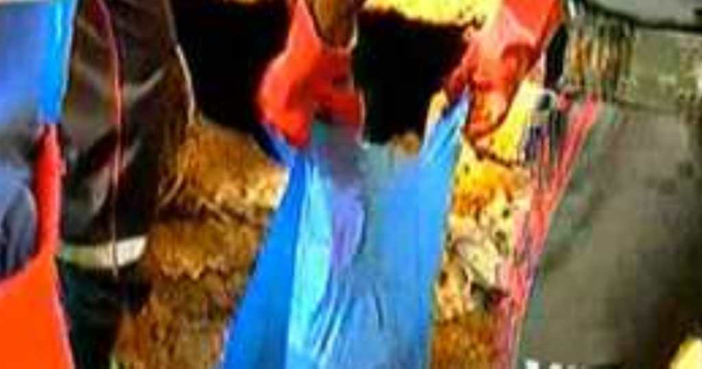 nfanticide à Amitié : Un nouveau-né retrouvé mort dans un sachet plastique