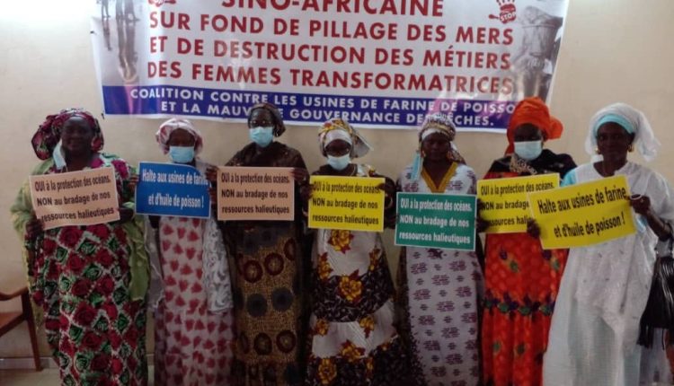 La coalition contre les usines de farine de poisson et la mauvaise gouvernance des pèches