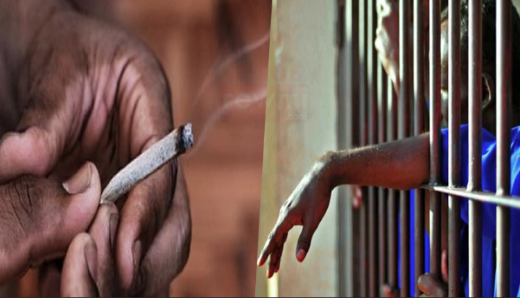 "Dafa diogué cote d'ivoire, niou diap ko teudjko 2ans prison": les révélations de ce fumeur de yamba