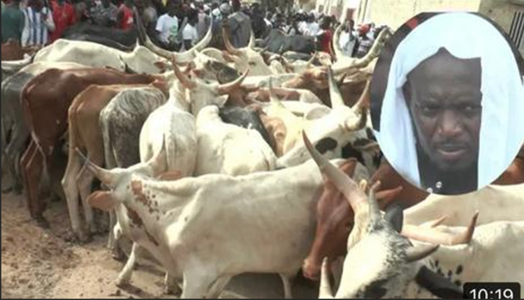 Gamou 2022 : "Lima Serigne Abdoul Aziz Sy Défal...", (Aziz Ndiaye)