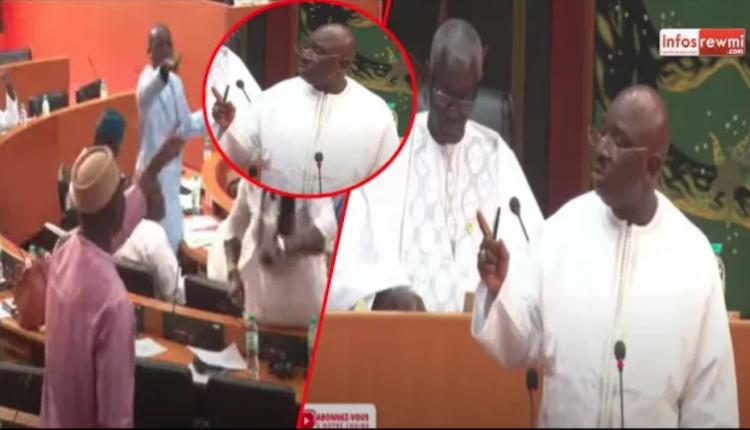 ¨Tu es un lâche¨Abass Fall s'emporte après des propos de Farba Ngom sur Ousmane Sonko¨Ça chauffe¨