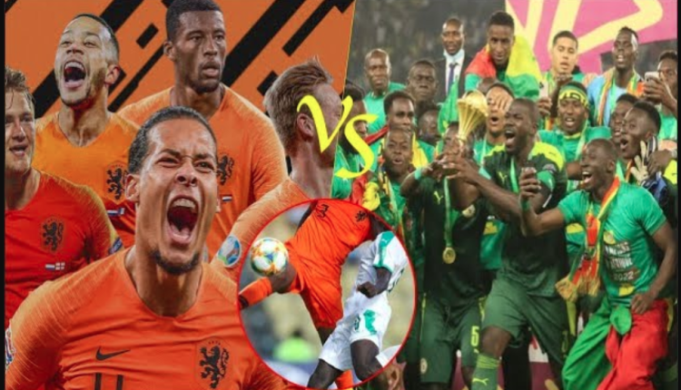 SÉNÉGAL VS PAYS-BAS : les supporters livrent leurs pronostics