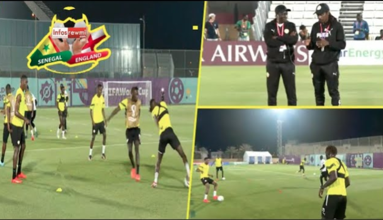 CM Qatar 2022 : Séance de décrassage des Lions après leur qualification