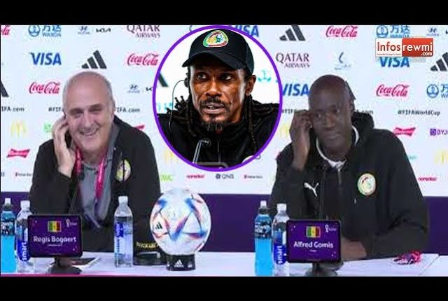 CM Qatar 2022 : Regis Bogaert et Gomis en conférence de presse d'avant match de huitième de finale