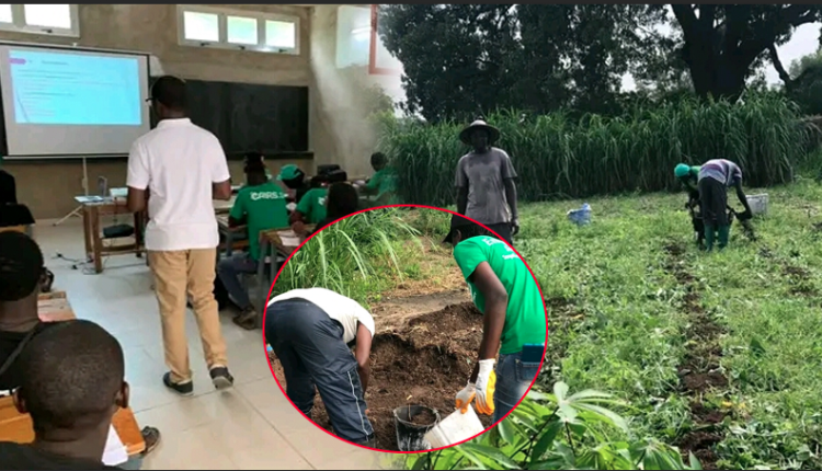 Sokone: AJIR Niombato et ses partenaires en croisade contre le sous emploi et l' immigration clandestine.