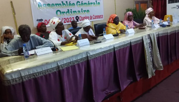 Promotion de l’Égalité de Genre et l’autonomisation économique des femmes au Sénégal : un combat de la fédération nationale des réseaux AFEC " FNRAMA" une structure qui regroupe les femmes engagées pour lever les freins . Malgré les efforts conséquents et les progrès considérables du Sénégal en matière de lutte contre les inégalités de genre et d’autonomisation des femmes. " J'ai l'honneur en ma qualité de présidente de la fédération nationale des réseaux AFEC " FNRAMA" de m'adresser à cette auguste assemblée générale composée des vaillantes femmes des AFEC de la fédération. Après avoir mesurer avec satisfaction le travail accompli et aussi magnifié l'accompagnement des partenaires " CARREFOUR et CECI" , je voudrais préciser que nous sommes sur la bonne voie de notre pouvoir économique et à ce titre j' exhorte les femmes à prendre leur destin en main .La preuve est que les AFEC sont des éléments de l'économie sociale et solidaire" a expliqué Madame khady Guèye Sanokho, présidente de la FNRAMA.Les emprunts dans les AFEC nous permettent de résoudre des problèmes de santé et de l'éducation de nos enfants mais aussi de survie face à la crise économique et alimentaire. Vous savez que l'accès aux crédits difficile au niveau des mutuelles est résolu grâce aux AFEC qui constitue une solution à notre émancipation , a t- elle ajouté. En marge de cette assemblée générale tenue ce samedi, la présidente madame khady Guèye Sanokho a indiqué quelques contraintes liées aux remboursements tardifs des prêts par certaines femmes.