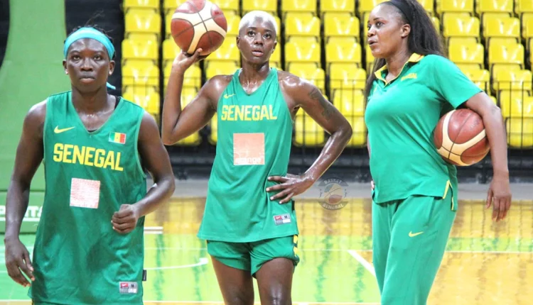 AfroBasket féminin