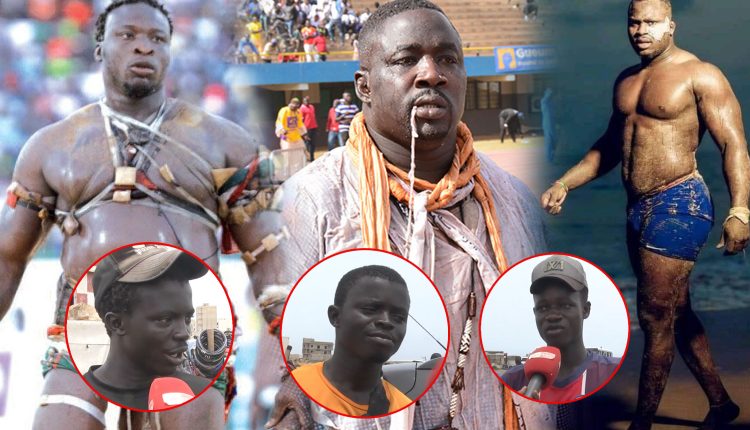 Combat Ama-Gris et Mod' Lo-Ama : Les amateurs tranchent " choc royal mo eupe sens "