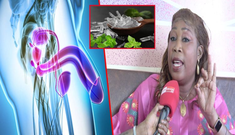 Cristal dafay wagni k**y Gorr : les revelations choquant de Maty Saflé