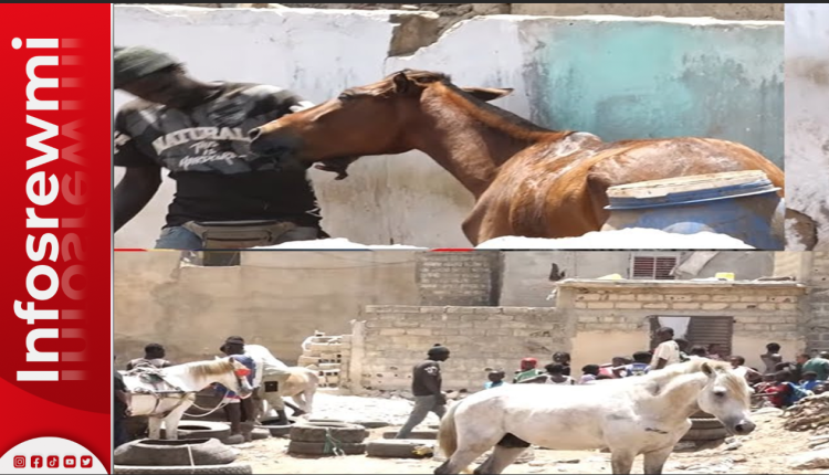 Lou doye warr a Guinaw Rail : Laminiou fass bi Laniou...