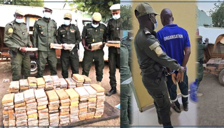 Koungheul : Saisie de 235 kg de cocaïne