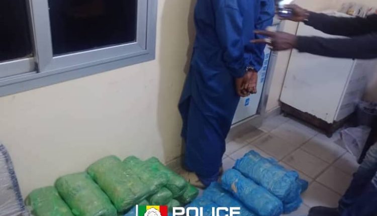 Saisie de 49 kg de chanvre indien et interpellation d’un convoyeur à Karang