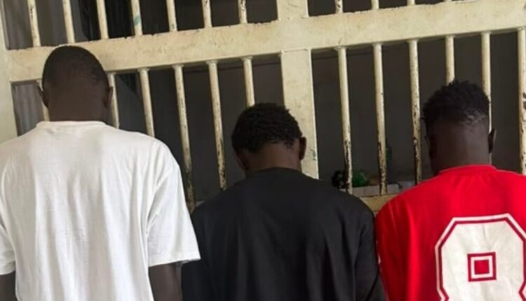 La Police de la Médina a arrêté trois agresseurs à Colobane, a-t-on appris. Armée de machettes et circulant à scooter, la bande ciblait des passants et des taxis. Ils ont dépouillé des iPhones, Apple Watch et 70 000 F CFA volés. Placé en garde à vue, le trio fait face à des poursuites pour vol avec violence.